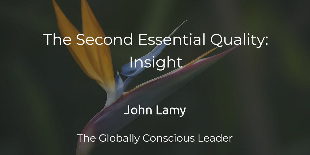 The Second Essential Quality: Insight