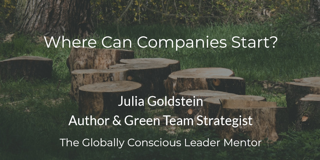 Where Can Companies Start?