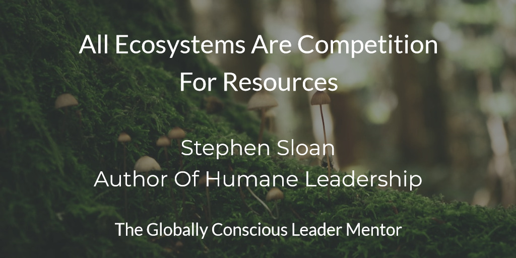 Sloan all ecosystems are competition for resources