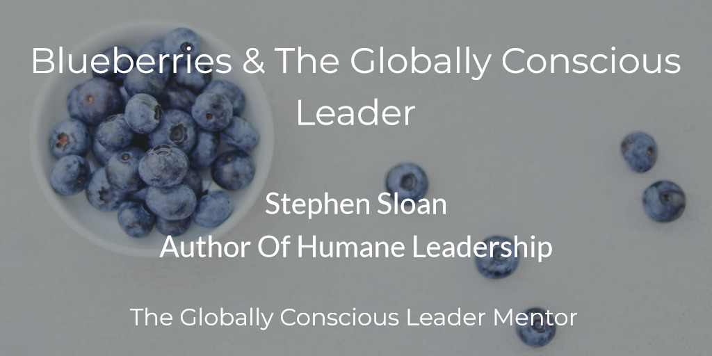 Sloan blueberries & the globally conscious leaders
